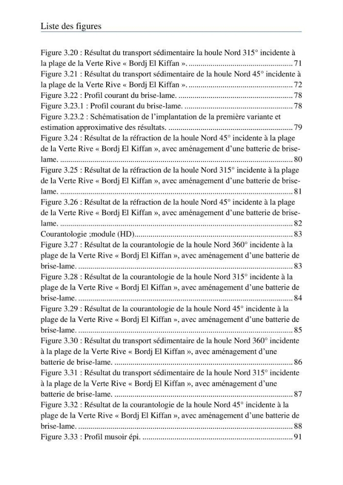 Etude de protection de la plage de la Verte Rive (Bordj El Kiffan)
