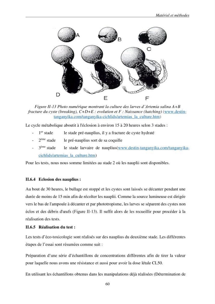 Etude du procédé hybride couplant l’adsorption et la photocatalyse. Application au traitement des effluents issus des fermes piscicoles.