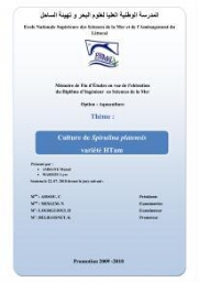 Culture de Spirulina platensis variété HTam: