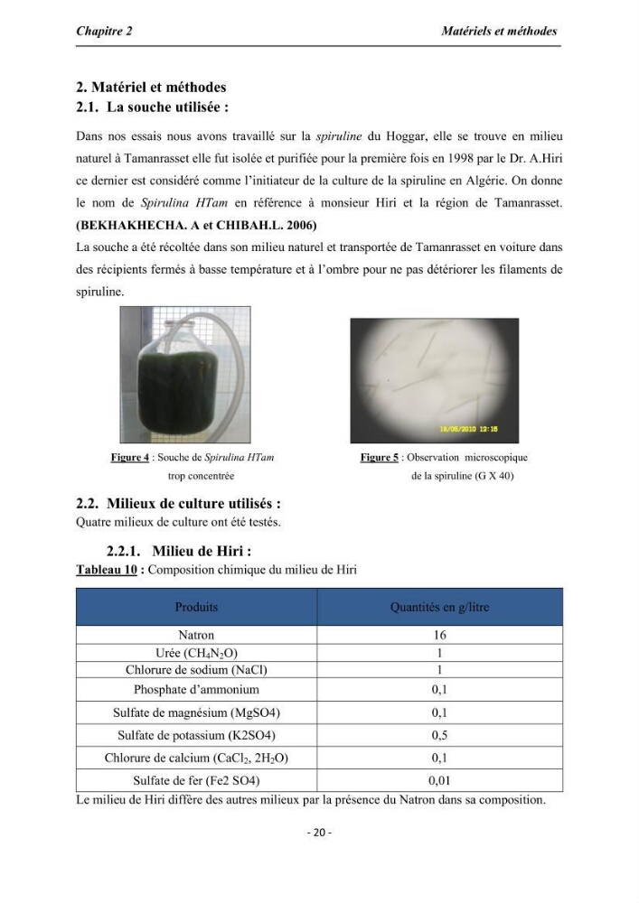 Culture de Spirulina platensis variété HTam: