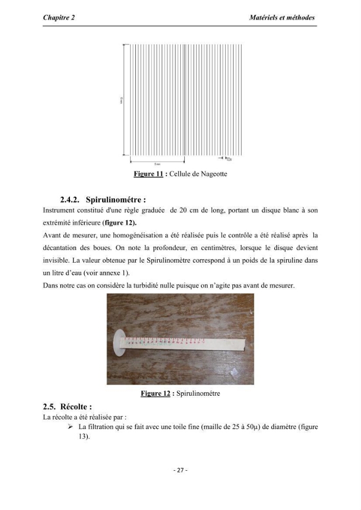 Culture de Spirulina platensis variété HTam: