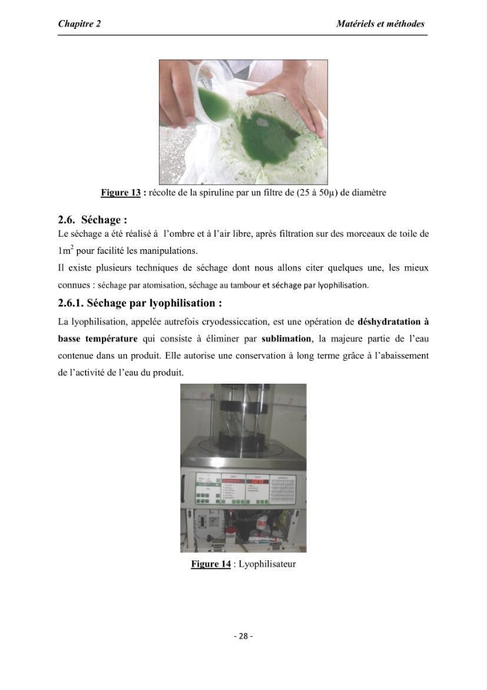 Culture de Spirulina platensis variété HTam: