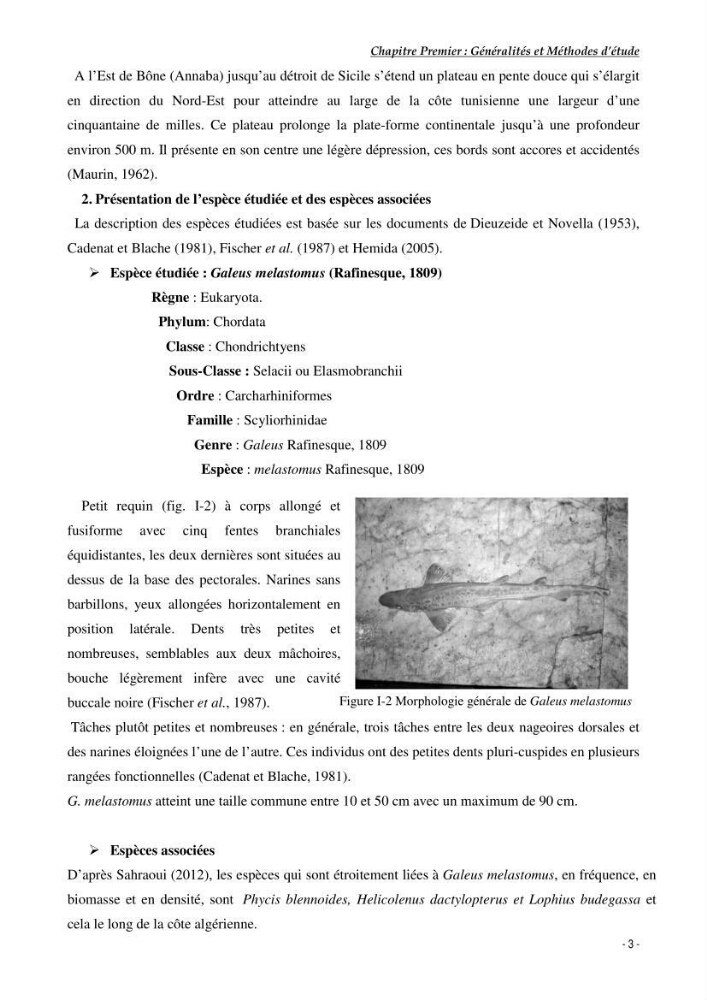Contribution à l\'exploitation de Galeus melastomus (Elasmobranches, scyliorhinidae) dans la région est de la côte Algérienne