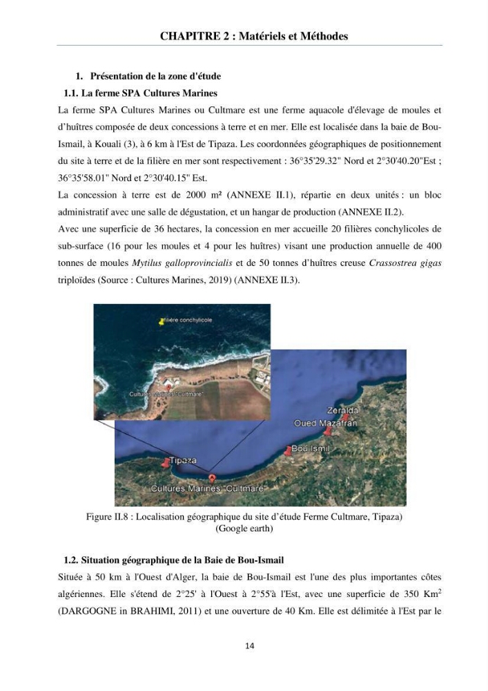 Etude des performances de croissance de l\'huître Crassostrea gigas (THUNBERG, 1793) triploïde de l\'élevage Cultures Marines (Tipaza):