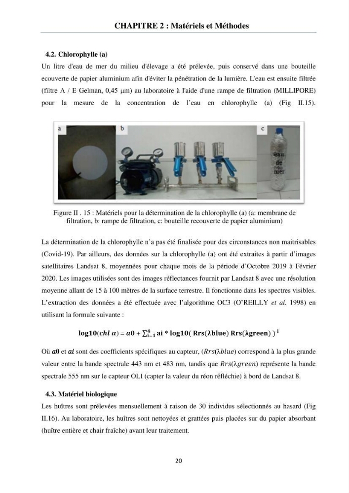 Etude des performances de croissance de l\'huître Crassostrea gigas (THUNBERG, 1793) triploïde de l\'élevage Cultures Marines (Tipaza):