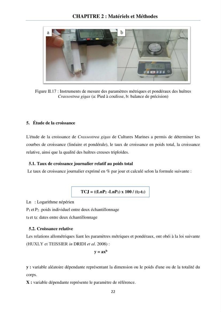 Etude des performances de croissance de l\'huître Crassostrea gigas (THUNBERG, 1793) triploïde de l\'élevage Cultures Marines (Tipaza):
