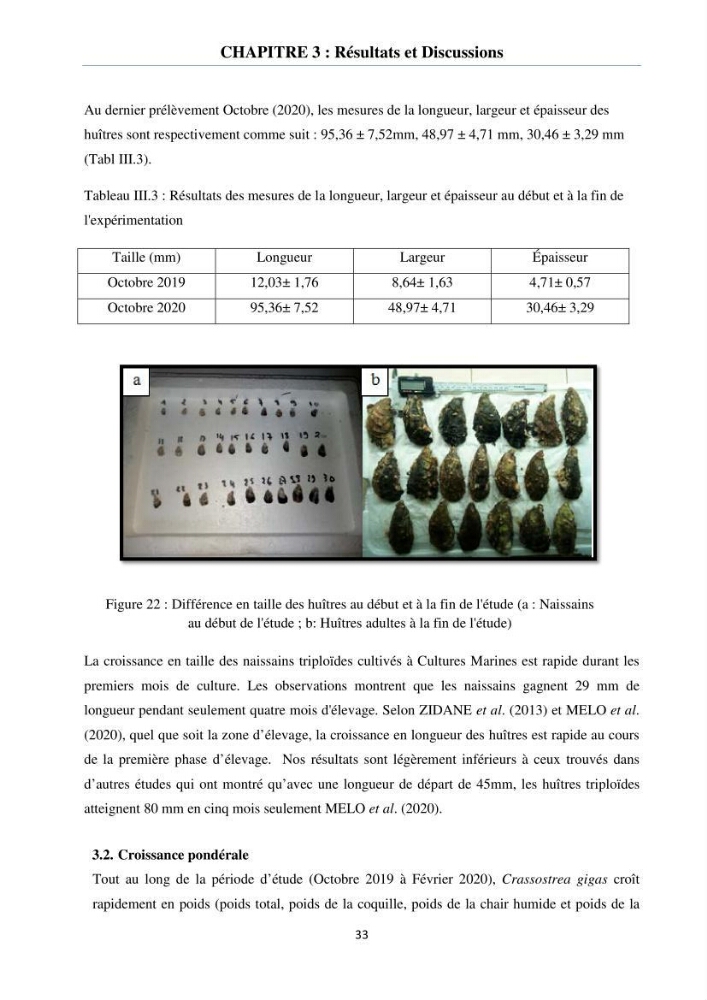 Etude des performances de croissance de l\'huître Crassostrea gigas (THUNBERG, 1793) triploïde de l\'élevage Cultures Marines (Tipaza):