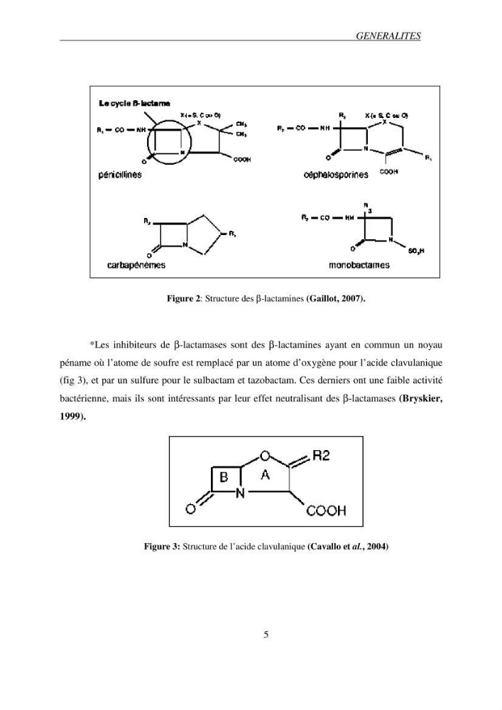 Prévalence et caractérisation de la résistance aux béta-lactamines chez des bactéries de l\'environnement marin