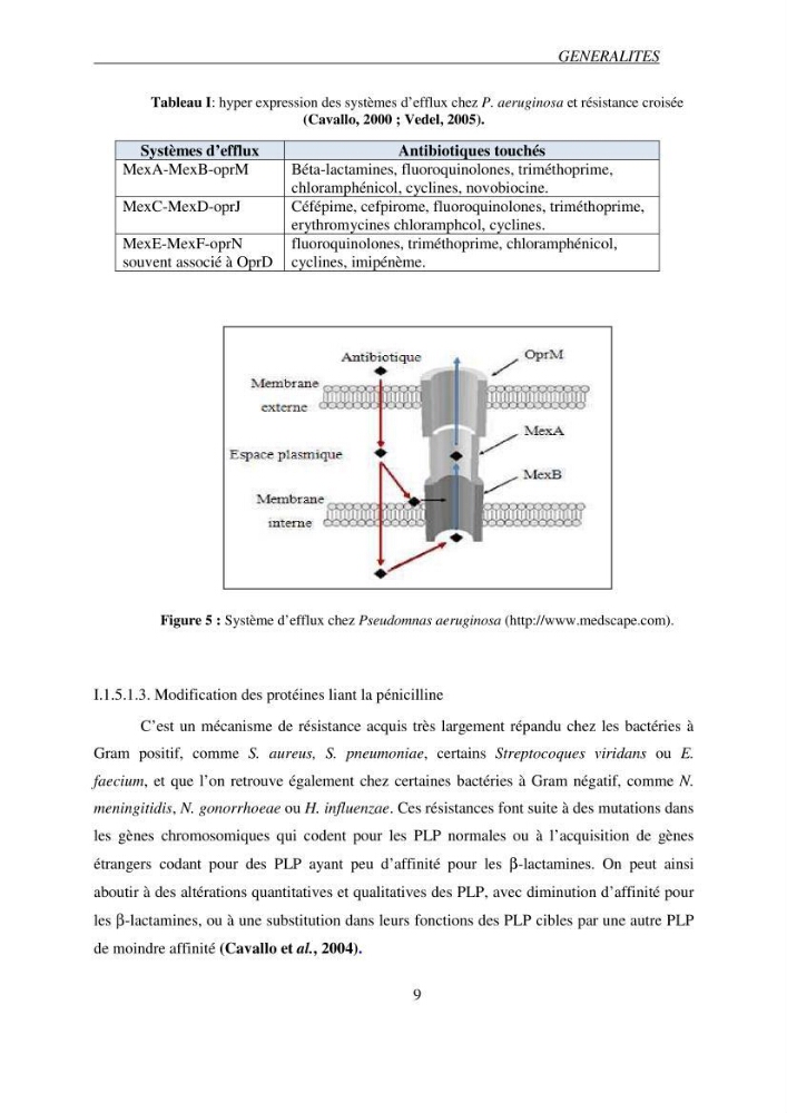 Prévalence et caractérisation de la résistance aux béta-lactamines chez des bactéries de l\'environnement marin