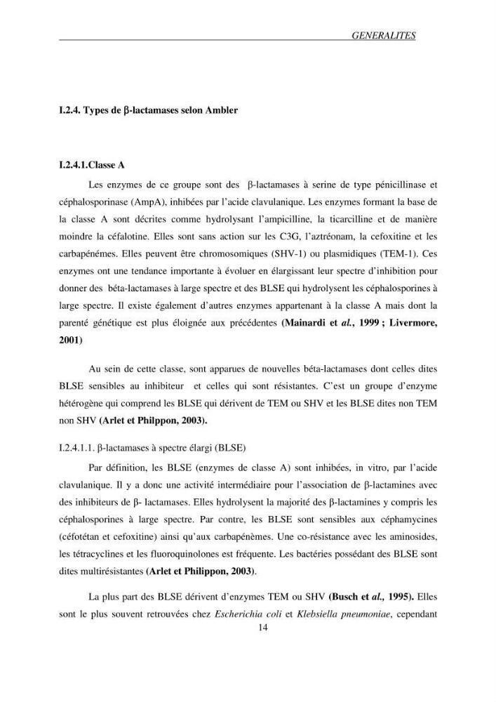 Prévalence et caractérisation de la résistance aux béta-lactamines chez des bactéries de l\'environnement marin