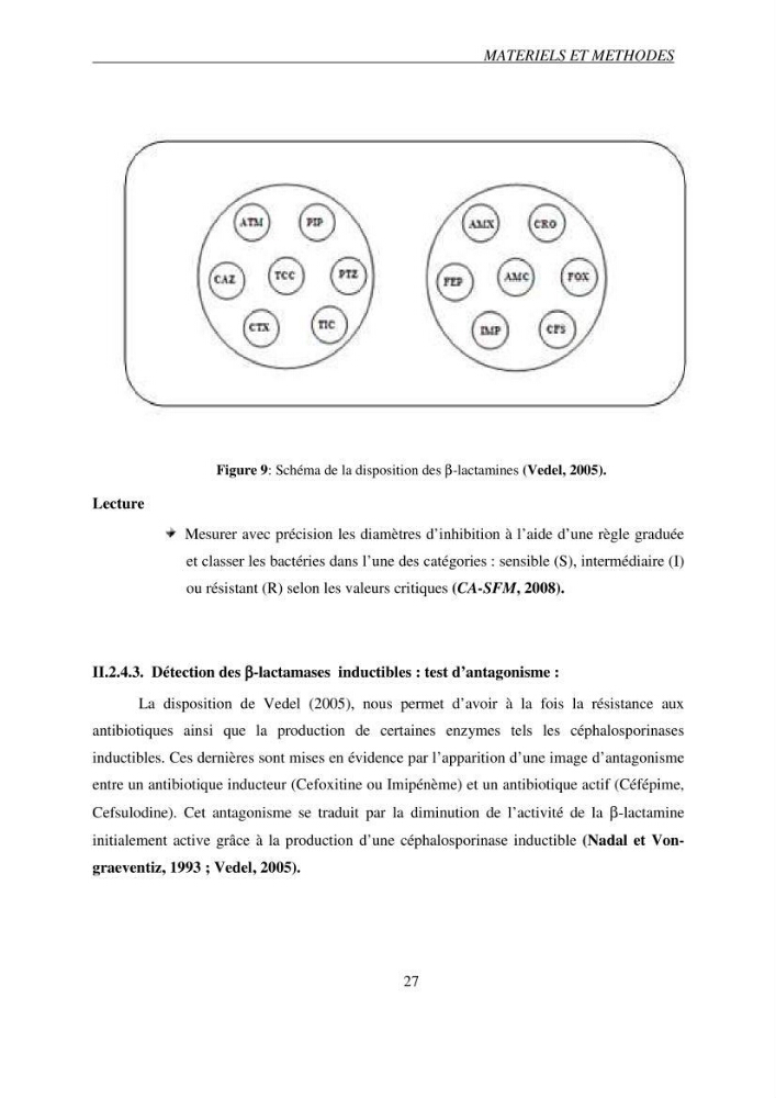 Prévalence et caractérisation de la résistance aux béta-lactamines chez des bactéries de l\'environnement marin
