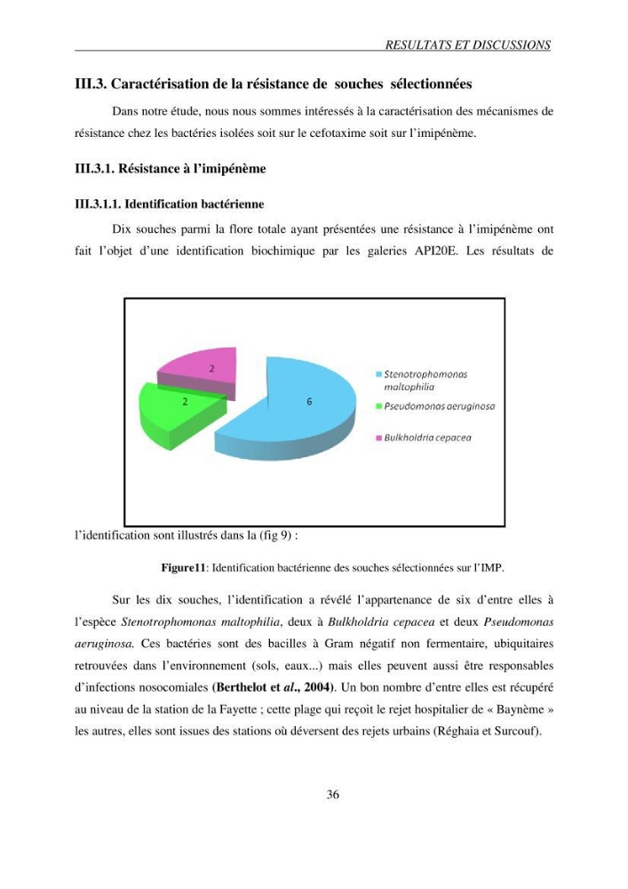 Prévalence et caractérisation de la résistance aux béta-lactamines chez des bactéries de l\'environnement marin
