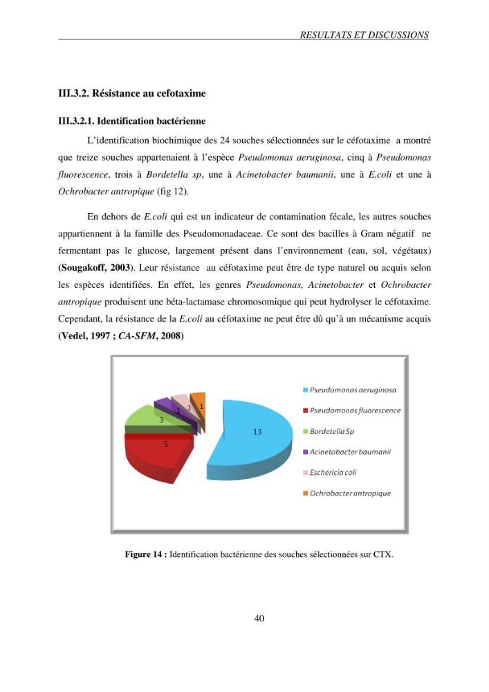 Prévalence et caractérisation de la résistance aux béta-lactamines chez des bactéries de l\'environnement marin