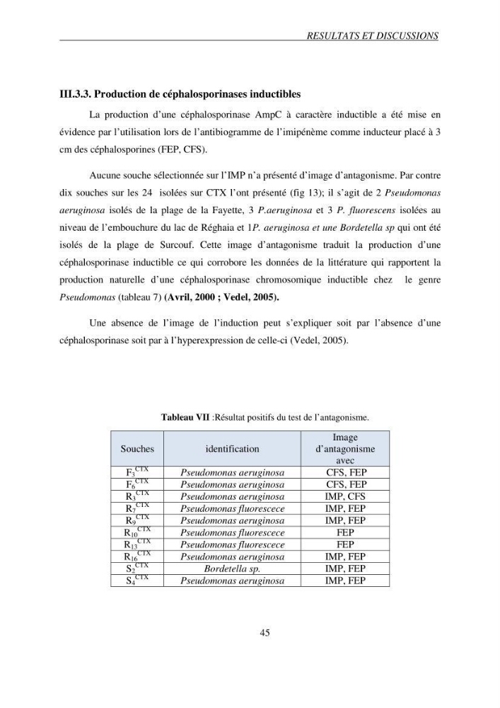 Prévalence et caractérisation de la résistance aux béta-lactamines chez des bactéries de l\'environnement marin