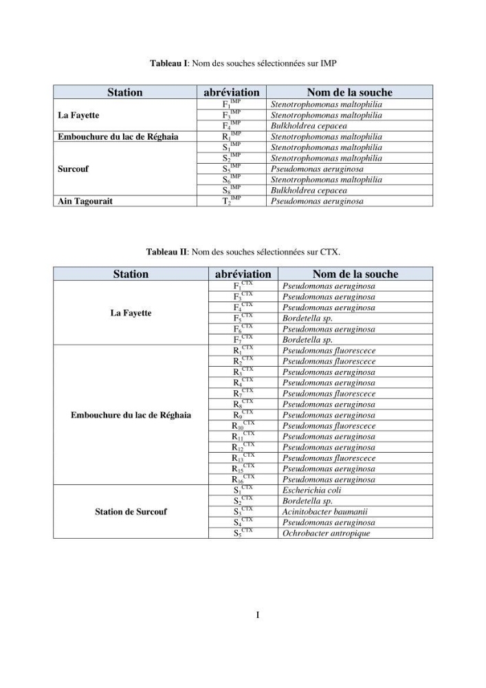 Prévalence et caractérisation de la résistance aux béta-lactamines chez des bactéries de l\'environnement marin
