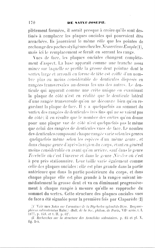 
et dans le genre
ou c'est
a peu près stationnaire Leur taille varie
comme
celle (les plaques onciales : elle est plus grande dans la partie
antérieure que dans la partie postérieure (lu corps. et dans
chaque plaque elle est plus grande a la rangee suivant im—
médiatement la grosse dent et va en diminuant progressivement à chaque rangée âi mesure qu’elle se rapproche du
sommet du vertex. Cette structure cles plaques onciales vues
de facea été signalée pour la première fois par Claperède
{t‘ Voir mes Notes sur l'arnmt‘urc de [a Plychotes splendàl
p!zerns rubrosz‘rz‘nz‘us Hubr.} tBttll. de la Sera pizilor‘n. de Parisa \'ll'3 série. t. I.
l$°.7. p. l—‘l8. et t. II. p. G'2“.
ij2} Recherches sur la structure des Annelides sédentaires. p. 65 et pl.
g.
DE s.u.vr-aosnvn.
plètement formées, il serait presque a croire qu‘ils sont destitles a remplacer les plaques oneiales qui pourraient être
arrachées. lls joueraient
le même rôle que les pointes de
rechange des poches styligi‘nes chez les Ncmeriiem Enop/a (ll,
mais ici le remplacement se ferait en serrant les rangs.
de face. les plaques onciales changent complète—
ment
La base apparaît comme une tranche assez
mince sur laquelle se prole la grosse dent pointue dont le
vertex large et arrondi en terme «le tête est
d'un nom—
bre plus ou moins consiilerahle de «.lenticules disposés en
rangees transversales au—dessus les uns «les autres. Le den—
ticule qui apparaît comme une crête unique en examinant
la plaque de côté
en
realite que le denticule latéral
d'une rangc‘e transversale qu‘on ne decijiu\‘re hien qu‘en regardant la plaque de face. ll y a.
au
sommet (lu
wertex cles rangées ile
pour une plaque vue (le cou— n'est quelrmet'ois pas lemëme
que celui des rangr‘es de «lenticules vues
quelquefois même selon les especes (l'un même genre. et
dans chaque genre d'apres la region du corps. etant en general
moins considerable en avant qu'en arriere. sauf dans le genre
Îereôe![
ou c'est
a peu près stationnaire Leur taille varie
comme
celle (les plaques onciales : elle est plus grande dans la partie
antérieure que dans la partie postérieure (lu corps. et dans
chaque plaque elle est plus grande a la rangee suivant im—
médiatement la grosse dent et va en diminuant progressivement à chaque rangée âi mesure qu’elle se rapproche du
sommet du vertex. Cette structure cles plaques onciales vues
de facea été signalée pour la première fois par Claperède
{t‘ Voir mes Notes sur l'arnmt‘urc de [a Plychotes splendàl
l$°.7. p. l—‘l8. et t. II. p. G'2“.
ij2} Recherches sur la structure des Annelides sédentaires. p. 65 et pl.
g.
![