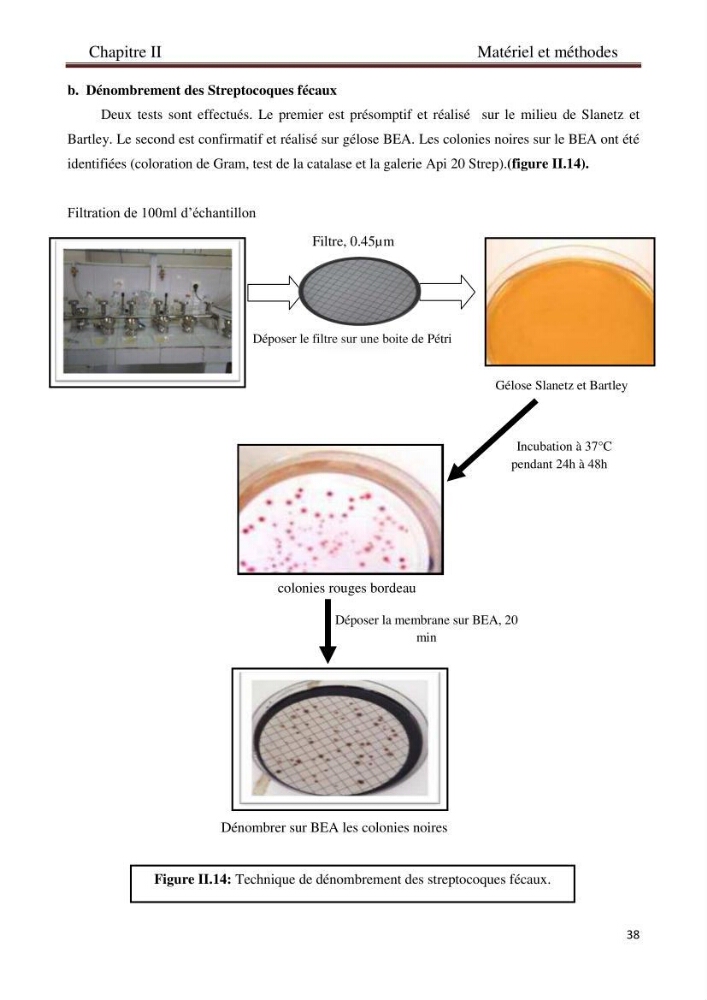 Détermination de l\'influence des rejets des eaux usées brutes sur la qualité bactériologique et physicochimique des eaux de mer. Cas d\'el katter (aproximité de port de cherchell, wilaya de Tipaza