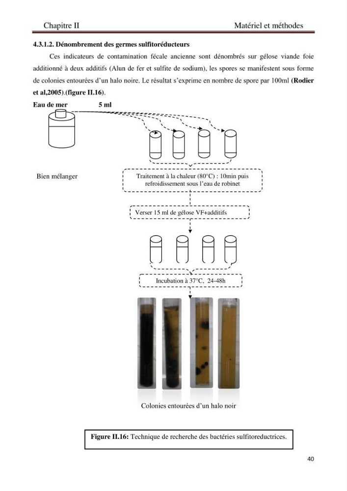 Détermination de l\'influence des rejets des eaux usées brutes sur la qualité bactériologique et physicochimique des eaux de mer. Cas d\'el katter (aproximité de port de cherchell, wilaya de Tipaza