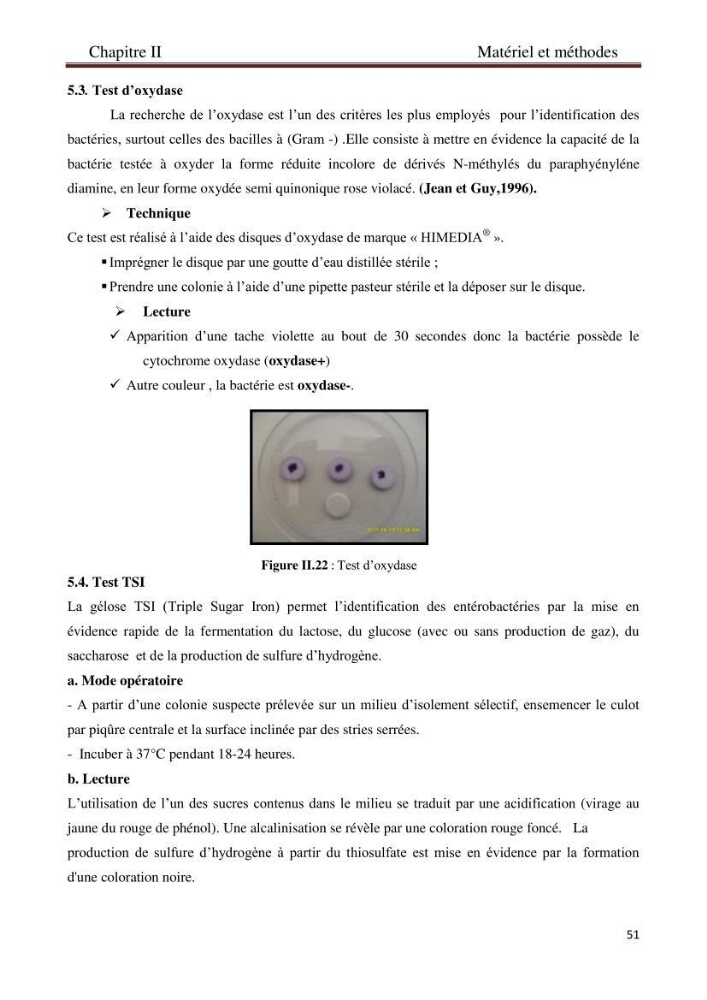 Détermination de l\'influence des rejets des eaux usées brutes sur la qualité bactériologique et physicochimique des eaux de mer. Cas d\'el katter (aproximité de port de cherchell, wilaya de Tipaza