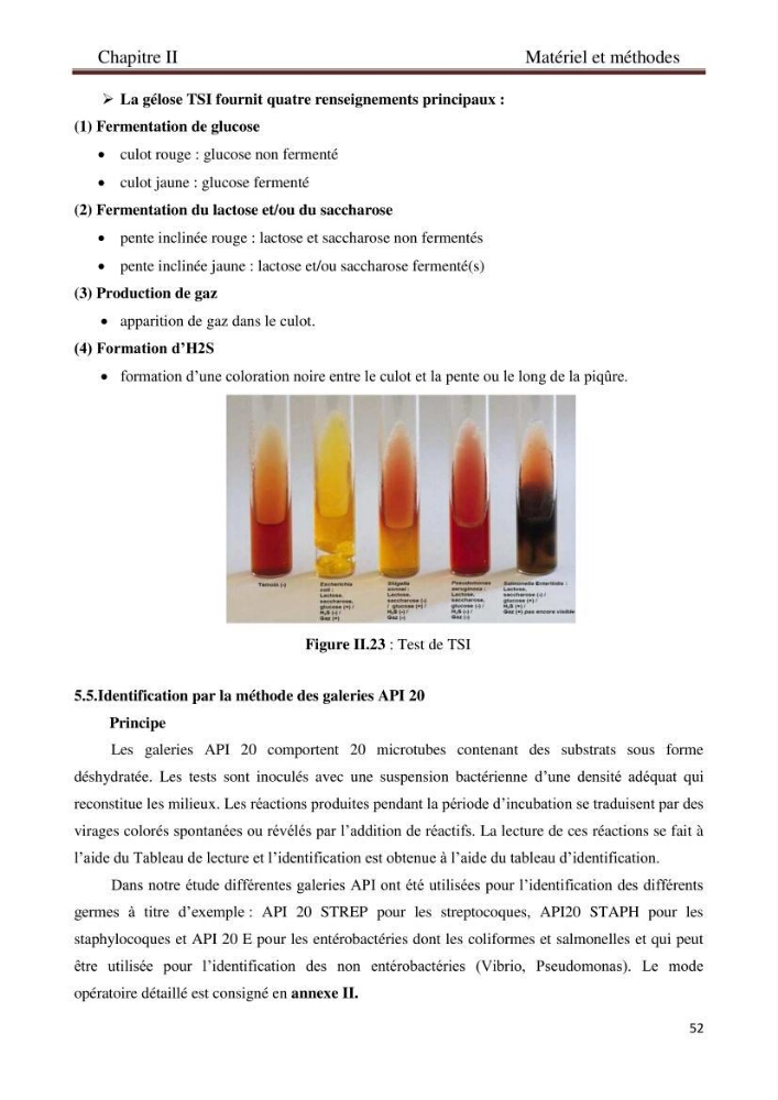 Détermination de l\'influence des rejets des eaux usées brutes sur la qualité bactériologique et physicochimique des eaux de mer. Cas d\'el katter (aproximité de port de cherchell, wilaya de Tipaza