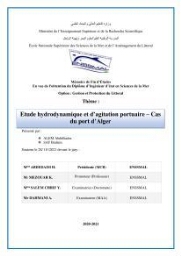 Etude hydrodynamique et d'agitation portuaire: cas du port d'Alger