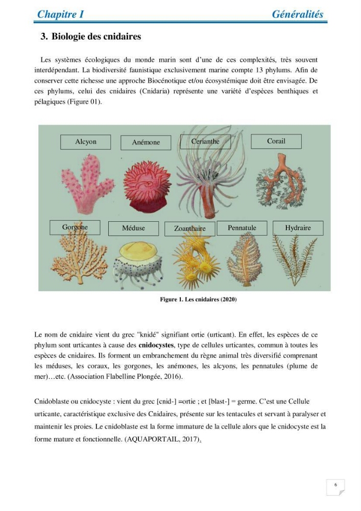 Inventaire des cnidaires de la côte Algérienne: