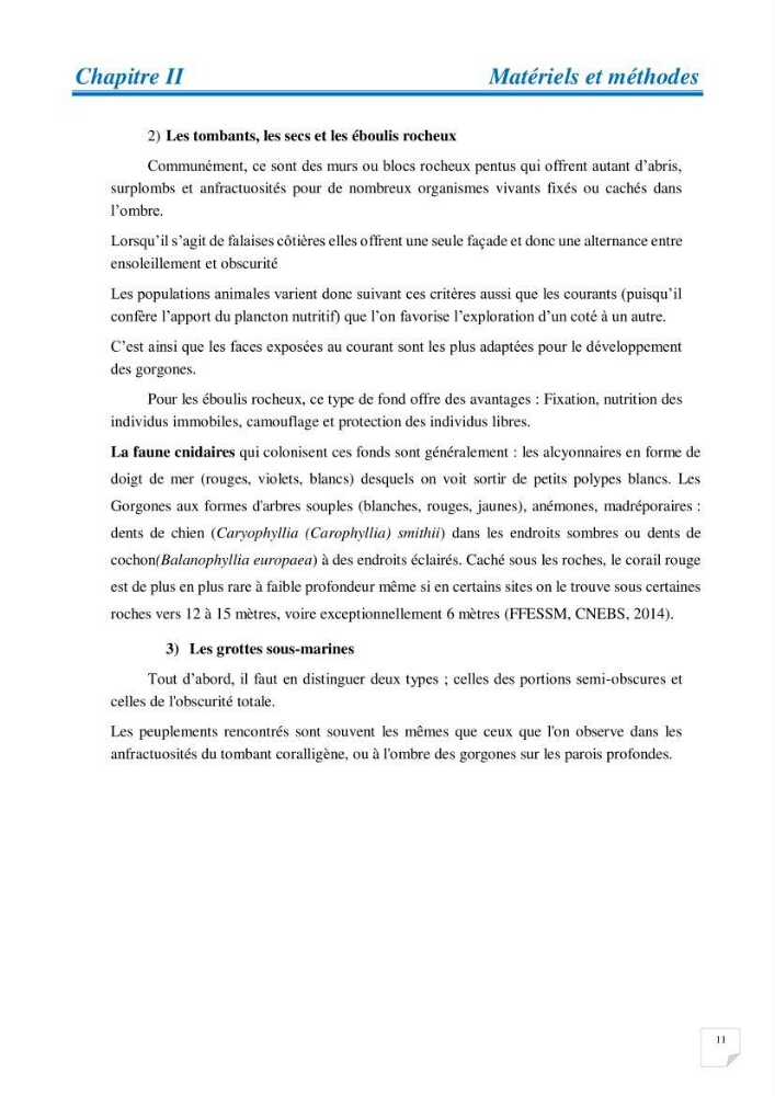 Inventaire des cnidaires de la côte Algérienne: