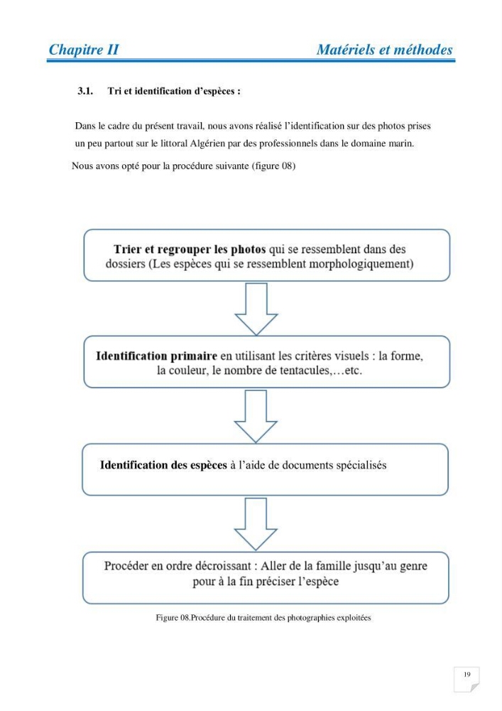 Inventaire des cnidaires de la côte Algérienne: