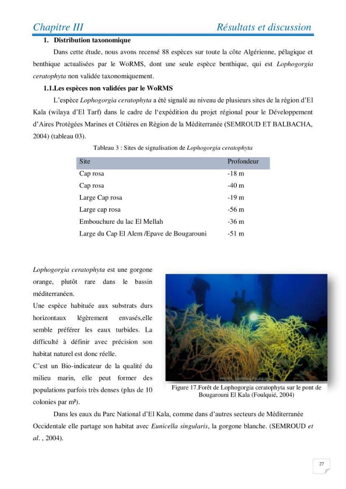 Inventaire des cnidaires de la côte Algérienne: