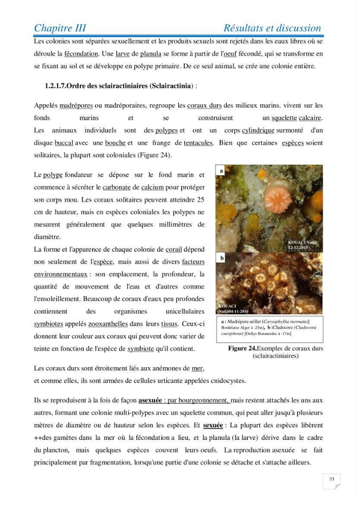 Inventaire des cnidaires de la côte Algérienne: