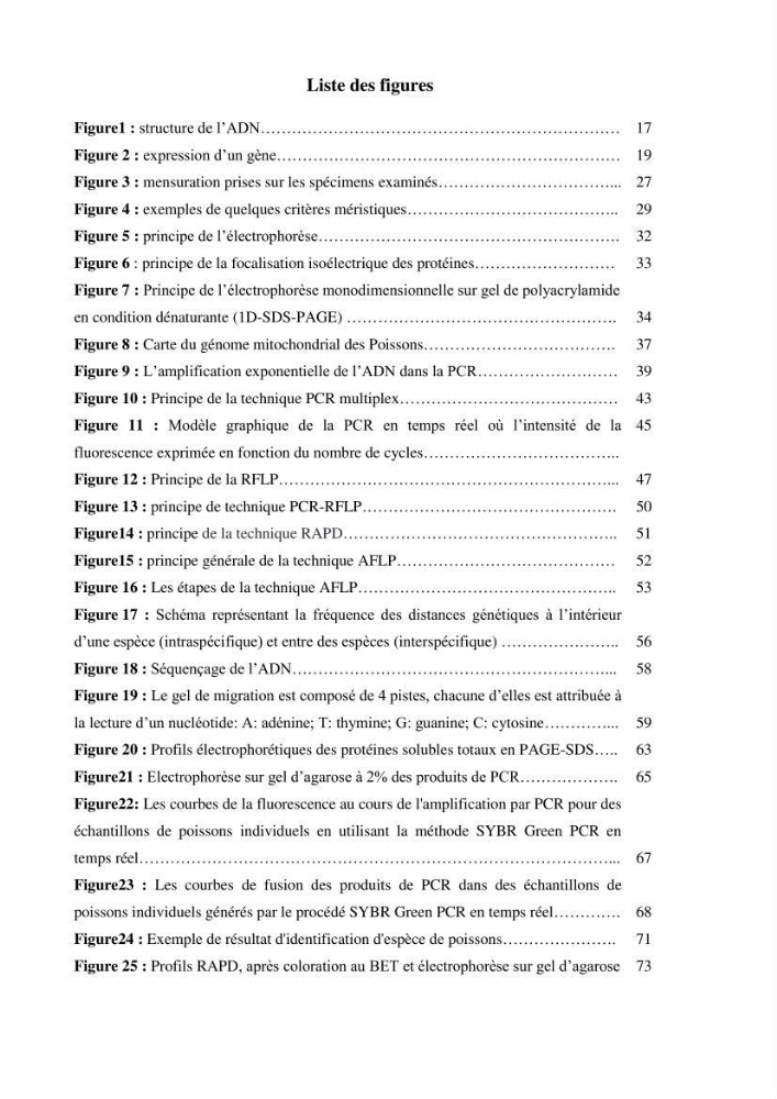 Recherche bibliographique sur les techniques de génétique moléculaire et leurs applications dans l\'identification des especes de poissons