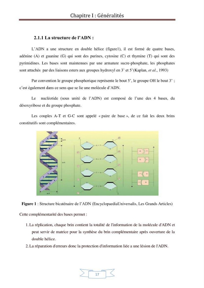 Recherche bibliographique sur les techniques de génétique moléculaire et leurs applications dans l\'identification des especes de poissons