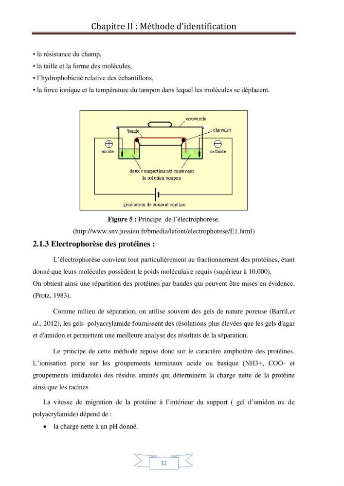 Recherche bibliographique sur les techniques de génétique moléculaire et leurs applications dans l\'identification des especes de poissons