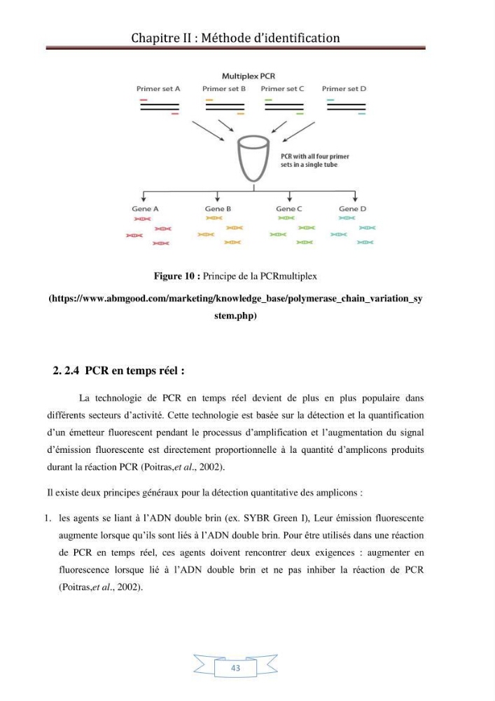 Recherche bibliographique sur les techniques de génétique moléculaire et leurs applications dans l\'identification des especes de poissons