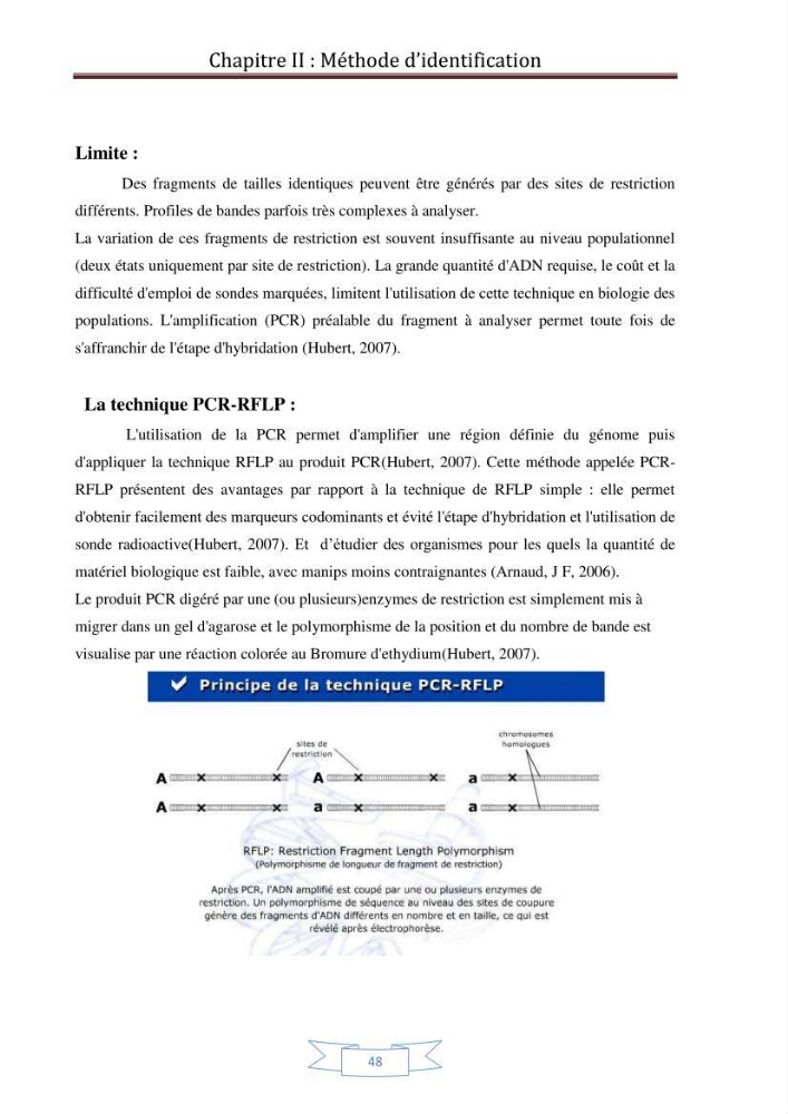 Recherche bibliographique sur les techniques de génétique moléculaire et leurs applications dans l\'identification des especes de poissons