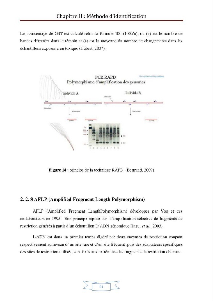 Recherche bibliographique sur les techniques de génétique moléculaire et leurs applications dans l\'identification des especes de poissons