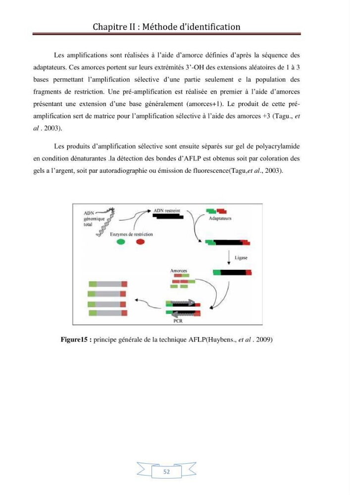 Recherche bibliographique sur les techniques de génétique moléculaire et leurs applications dans l\'identification des especes de poissons
