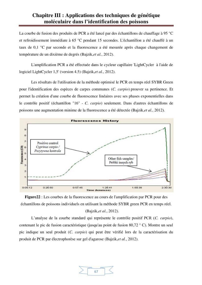 Recherche bibliographique sur les techniques de génétique moléculaire et leurs applications dans l\'identification des especes de poissons