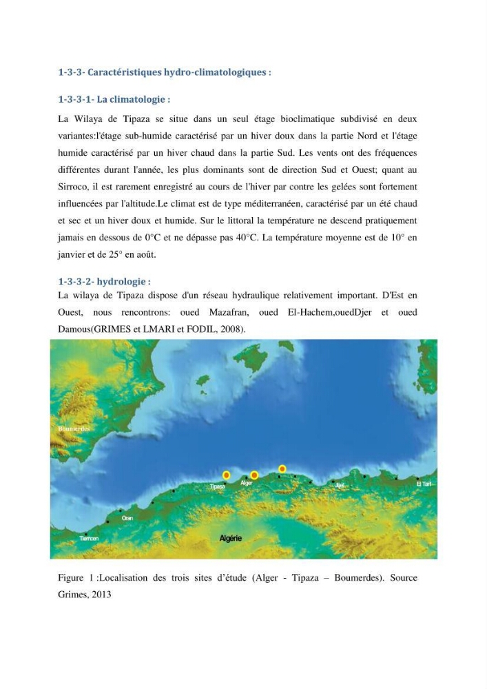 Analyse de l\'évolution de la flottille de pêche artisanale aux petits métiers du secteur centre algerien (Alger, Tipaza et Boumerdes).: