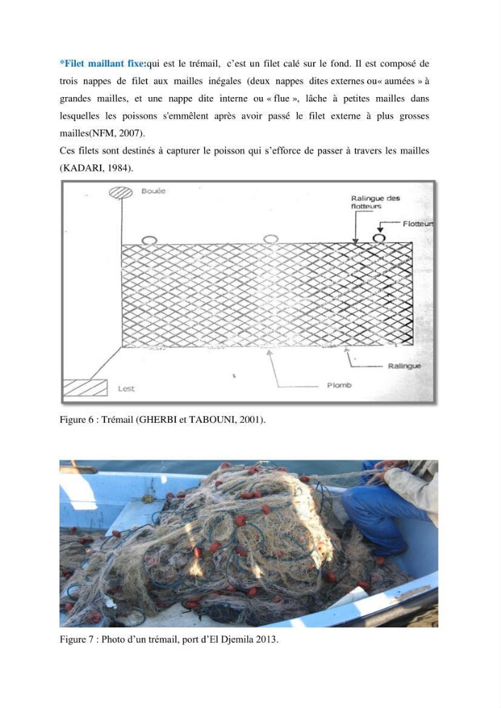 Analyse de l\'évolution de la flottille de pêche artisanale aux petits métiers du secteur centre algerien (Alger, Tipaza et Boumerdes).: