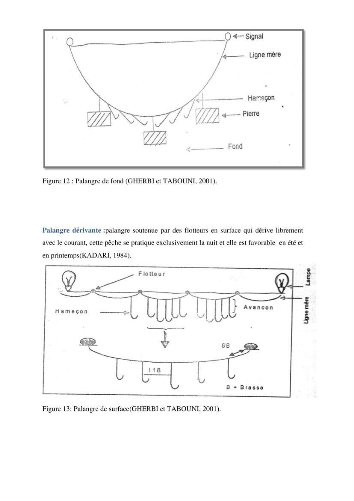 Analyse de l\'évolution de la flottille de pêche artisanale aux petits métiers du secteur centre algerien (Alger, Tipaza et Boumerdes).: