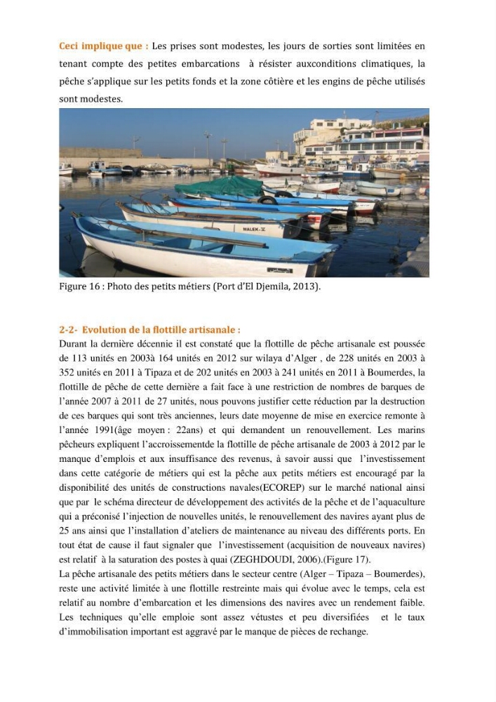 Analyse de l\'évolution de la flottille de pêche artisanale aux petits métiers du secteur centre algerien (Alger, Tipaza et Boumerdes).: