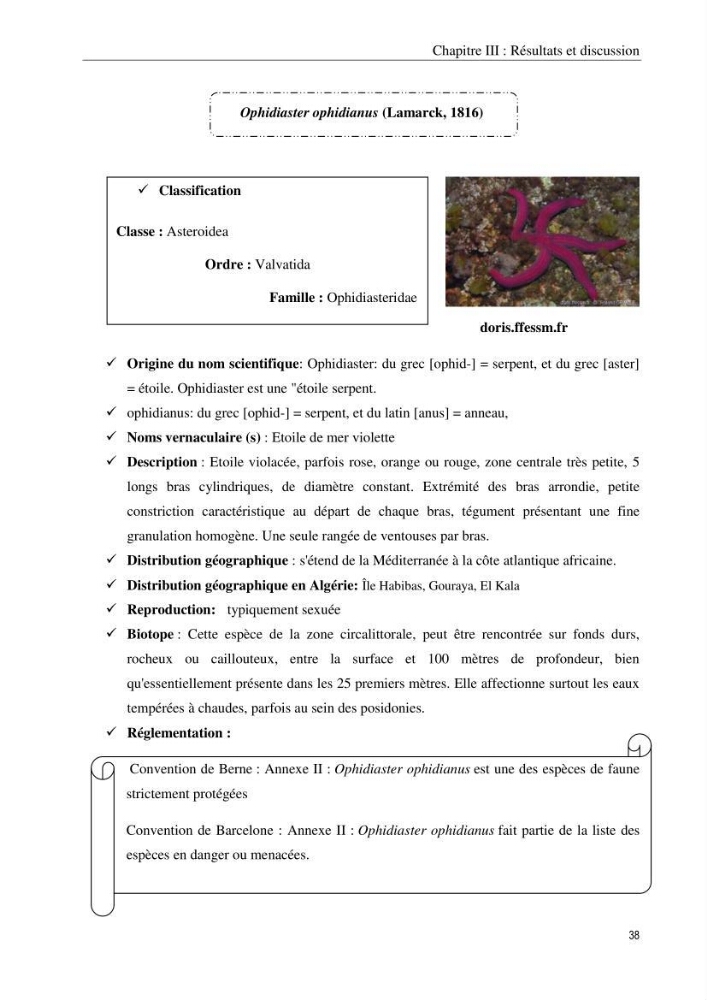 Inventaire et systematique des echinodermes de la côte Algérienne