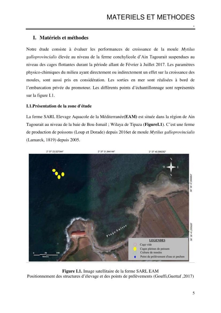 Etude de la croissance de Mytilus galloprovincialis (Lamarrck,1819) à Ain tagourait, Tipaza