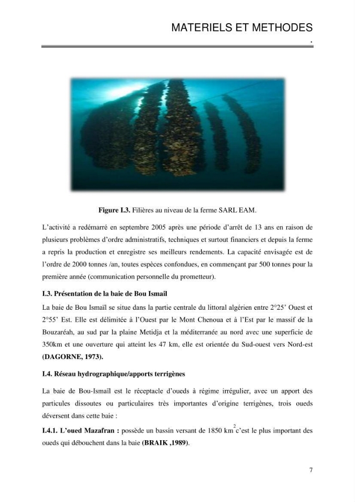 Etude de la croissance de Mytilus galloprovincialis (Lamarrck,1819) à Ain tagourait, Tipaza