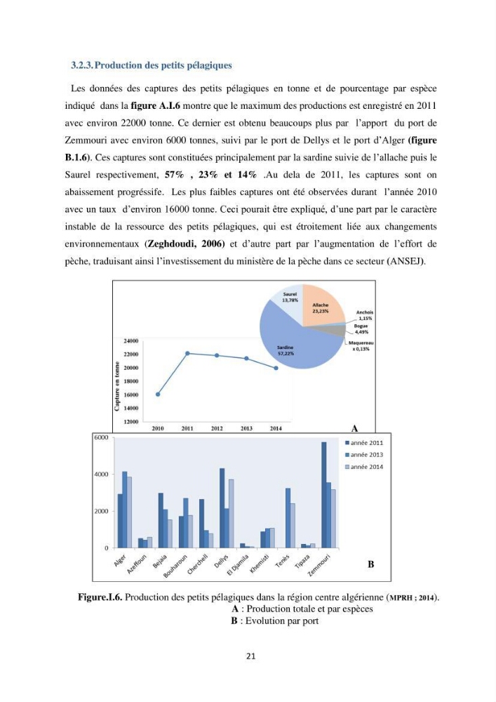 Les petits pélagiques dans la zone centre Algerienne: variabilité Spatio-temporelle et corrélation avec les paramètres du milieu