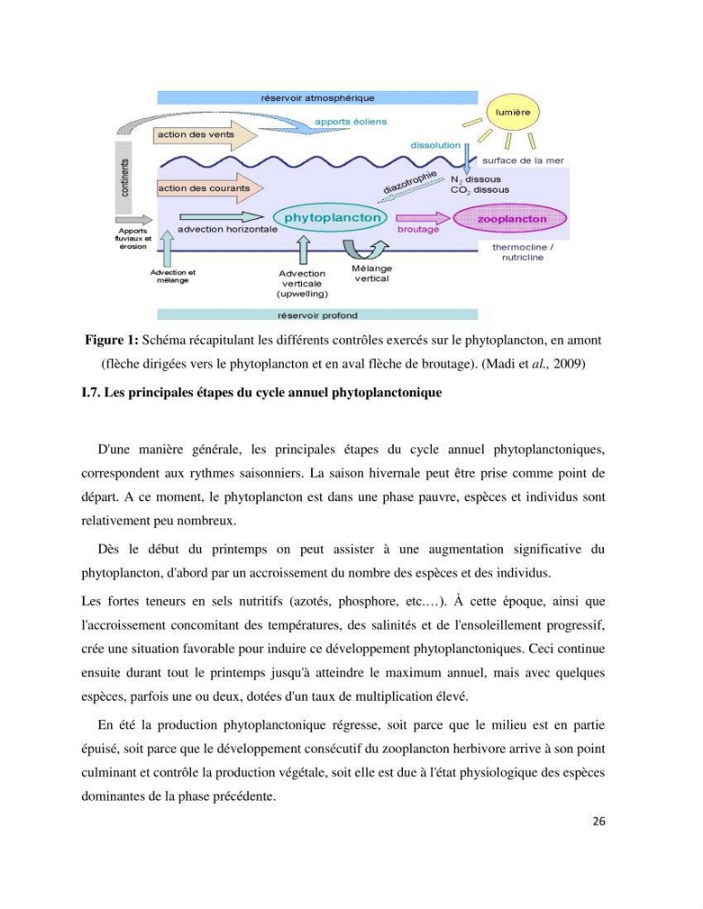 Dynamique et diversité du phytoplancton de la côte Algérienne: