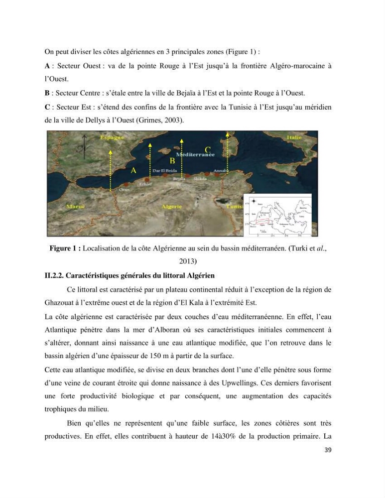 Dynamique et diversité du phytoplancton de la côte Algérienne:
