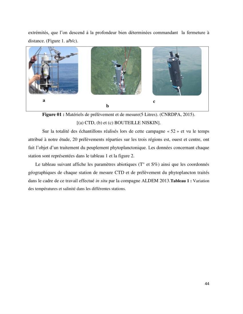 Dynamique et diversité du phytoplancton de la côte Algérienne: