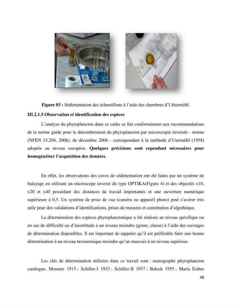 Dynamique et diversité du phytoplancton de la côte Algérienne: